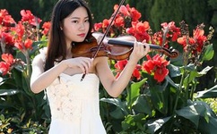 手机快播软件下载